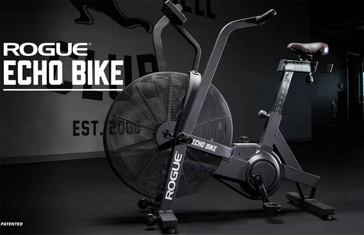 Echo Bike